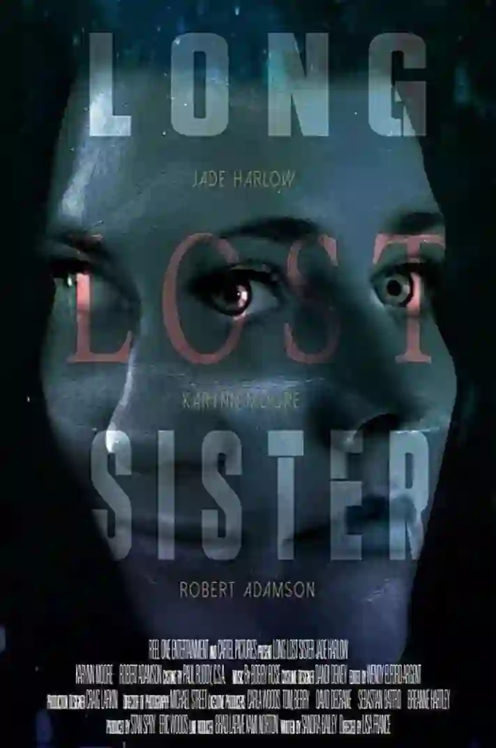 失联姐妹 剧情解析